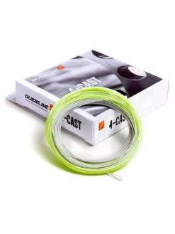 Guideline 4-Cast WF F/S3