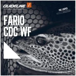 Guideline Fario CDC WF Fliegenschnur 8 Guideline Fario CDC WF Fliegenschnur -Guideline Verkäufe WEB Image Fario CDC WF Float 106879 2 1959173336 plid 153421