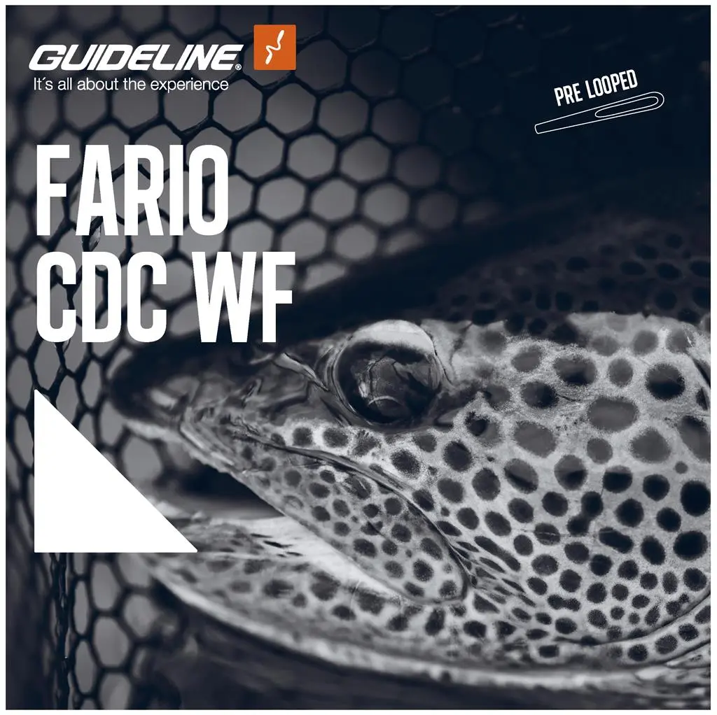 Guideline Fario CDC WF Fliegenschnur 5 Guideline Fario CDC WF Fliegenschnur – Bild 3