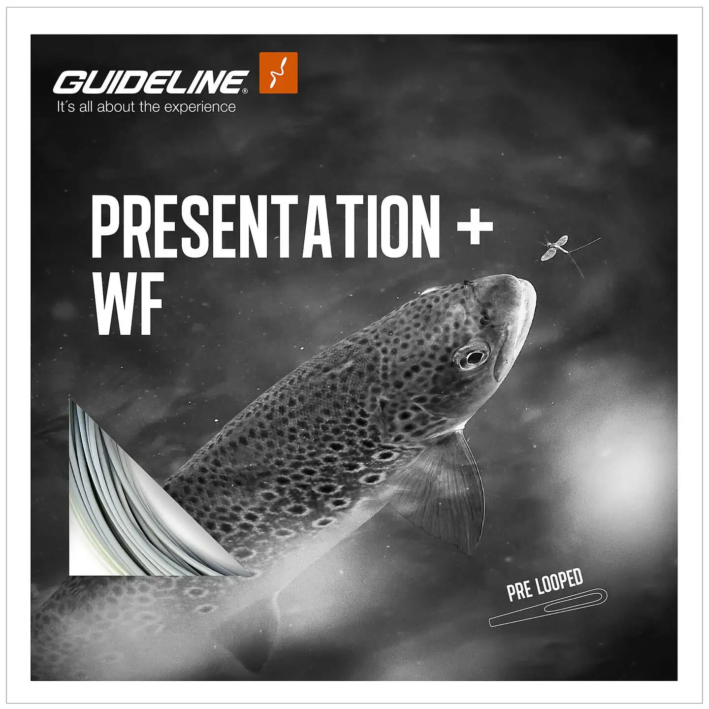 Guideline Presentation+ Fliegenschnur 3 Guideline Presentation+ Fliegenschnur