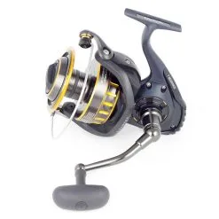 Daiwa BG 6500 SW