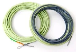 Guideline 4D Compact Body